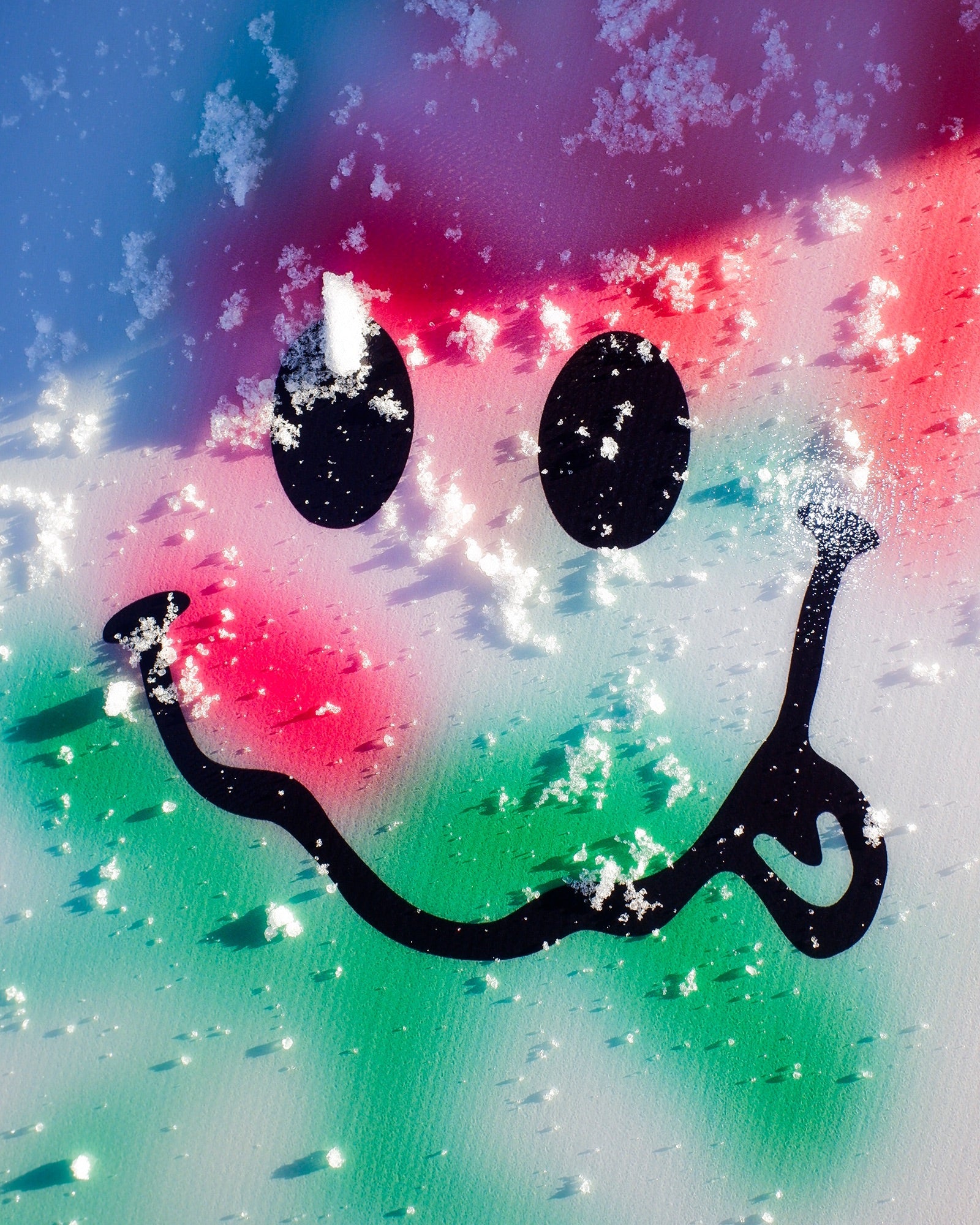 Bataleon Evil Twin Men's Snowboard 2025/2026 – Bataleon CA