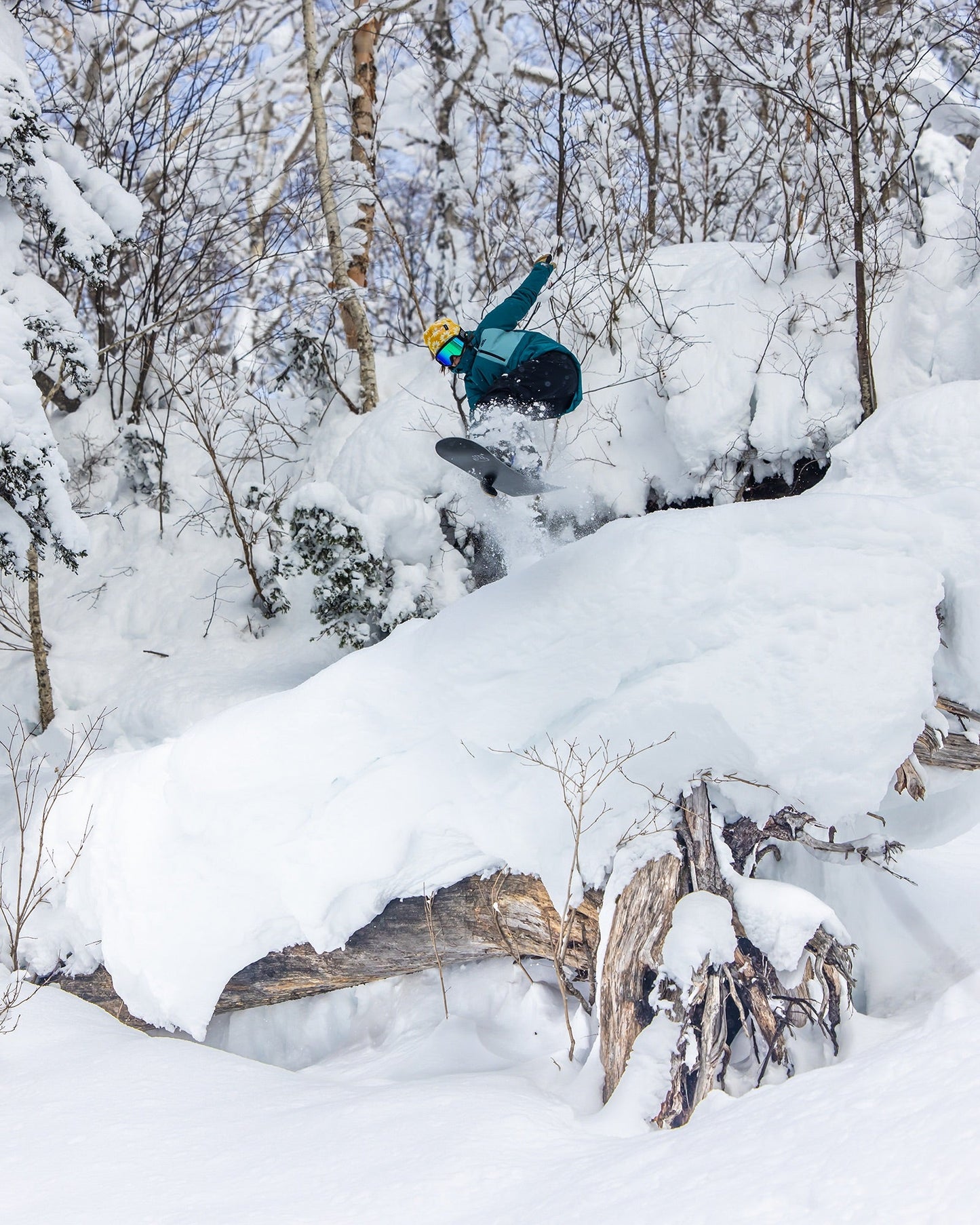 Push Up+ Women's Snowboard