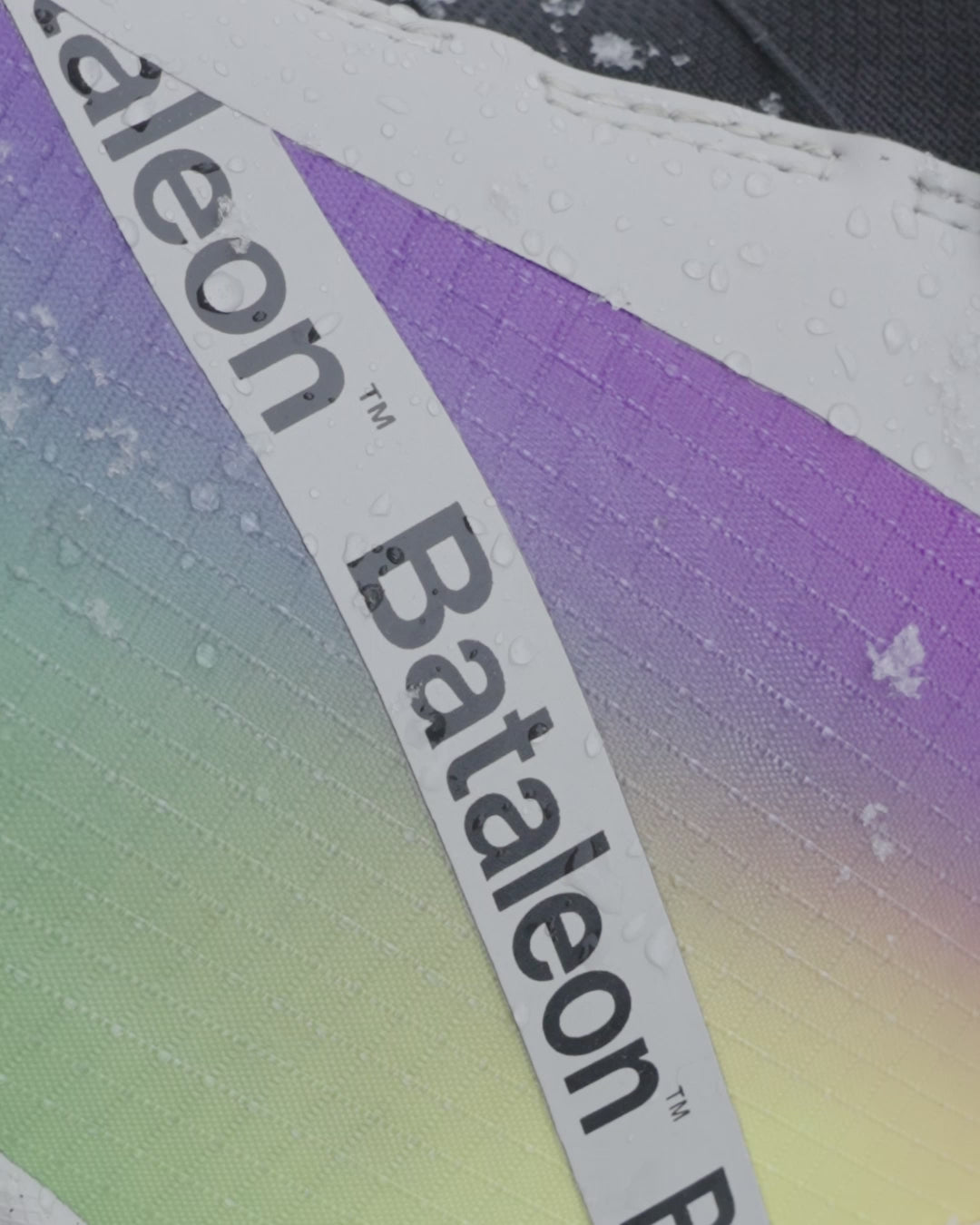 Salsa BOA 2025 | Bataleon Snowboards™ – Bataleon CA